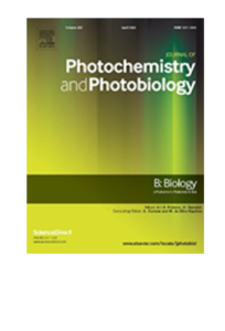 Journal of Photochemistry and Photobiology B Biology